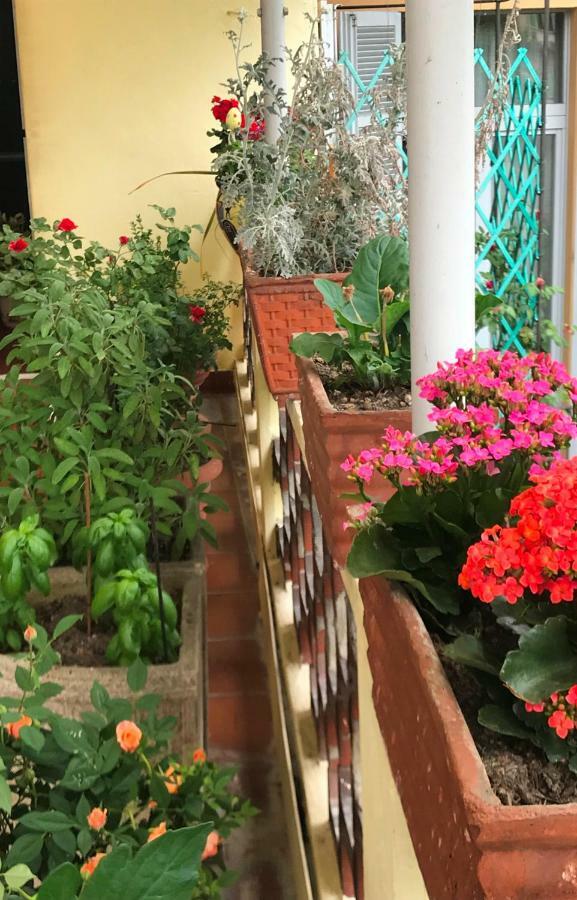 לינה וארוחת בוקר ורצ'לי Casa Di Nonna מראה חיצוני תמונה